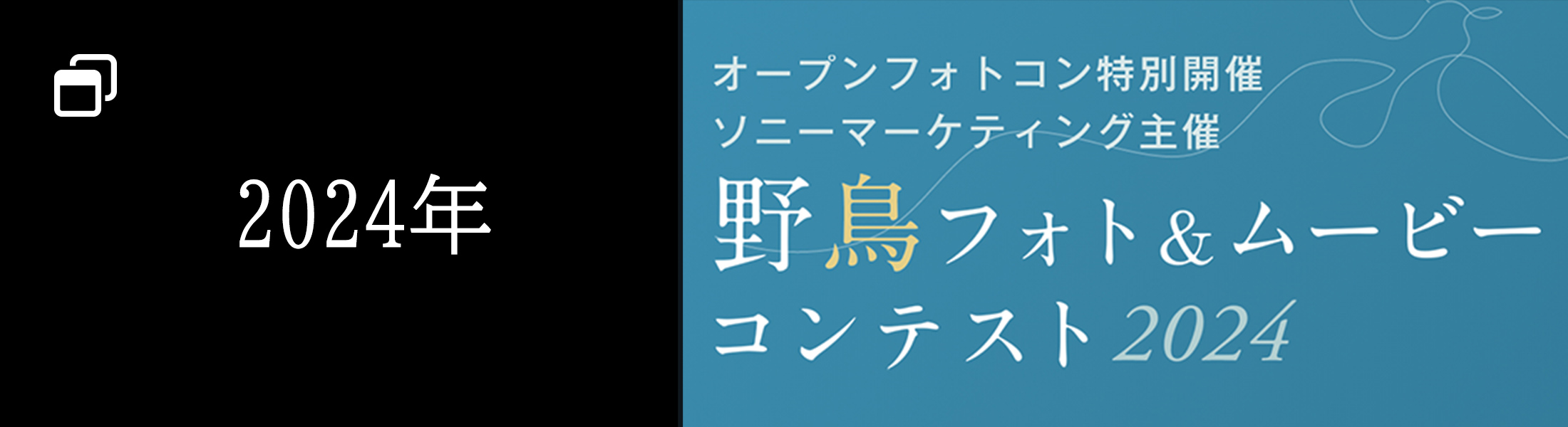 2024年の野鳥コンテスト