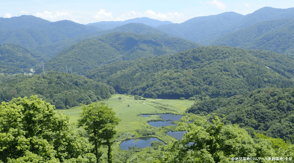 各地の自然保護問題への対応