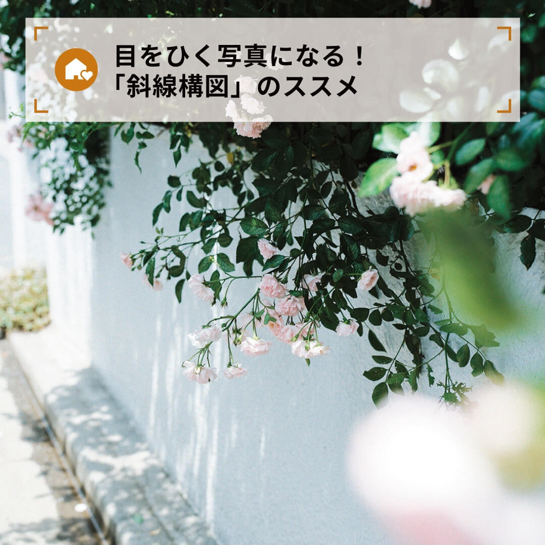 目をひく写真になる!「斜線構図」のススメ
