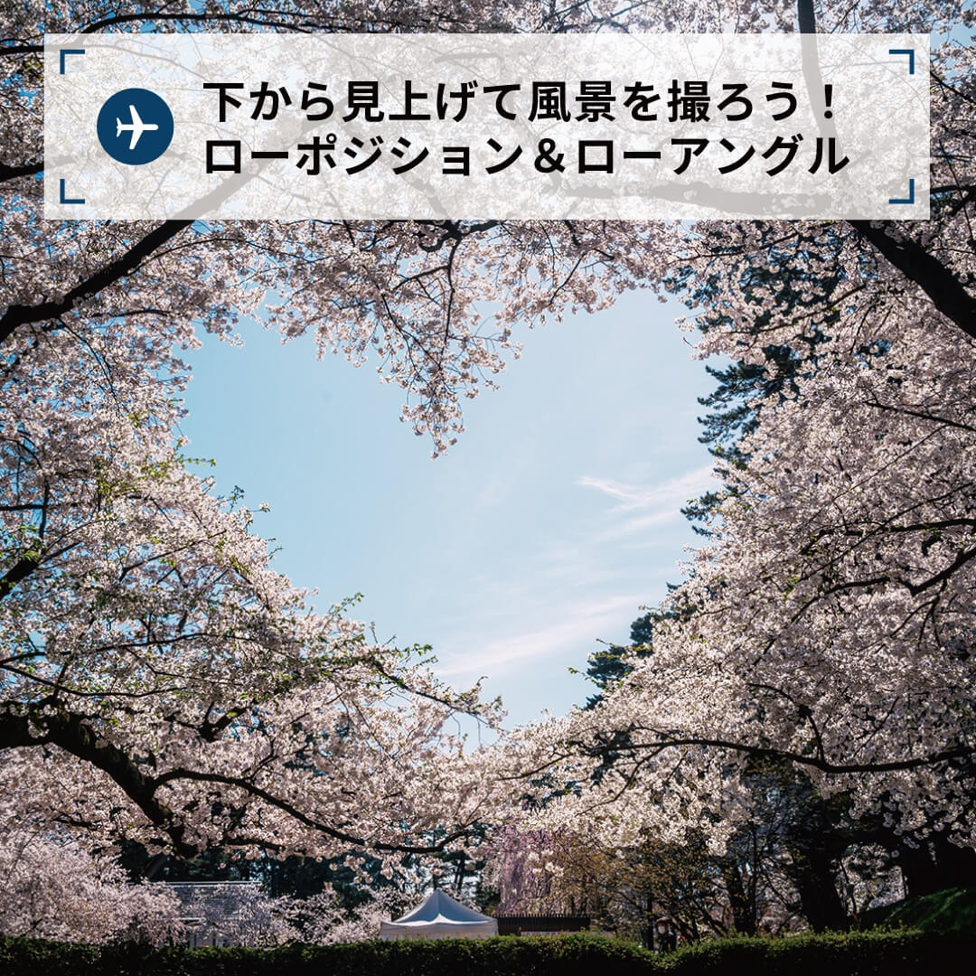 下から見上げて風景を撮ろう!ローポジション&ローアングル
