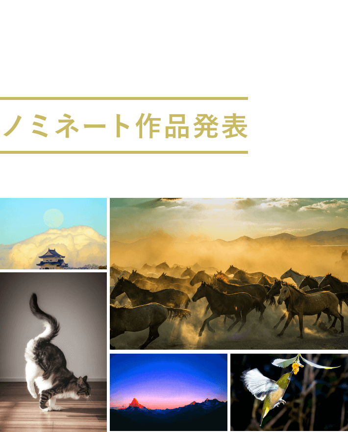 αコンテスト 第15回スペシャルコンテスト Special Contest ノミネート作品発表