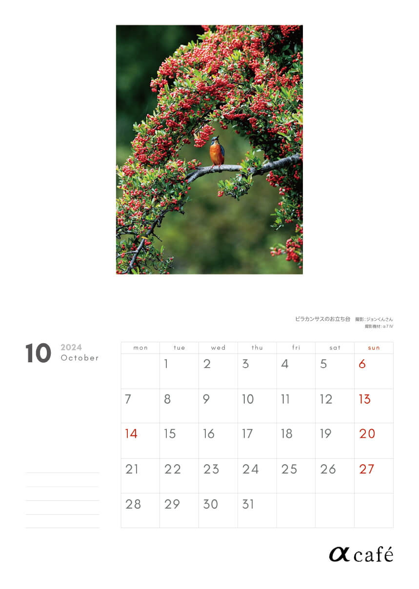 2026年版オリジナルカレンダー