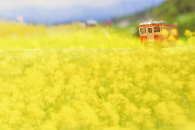 『春の旅』ゆみりんさん