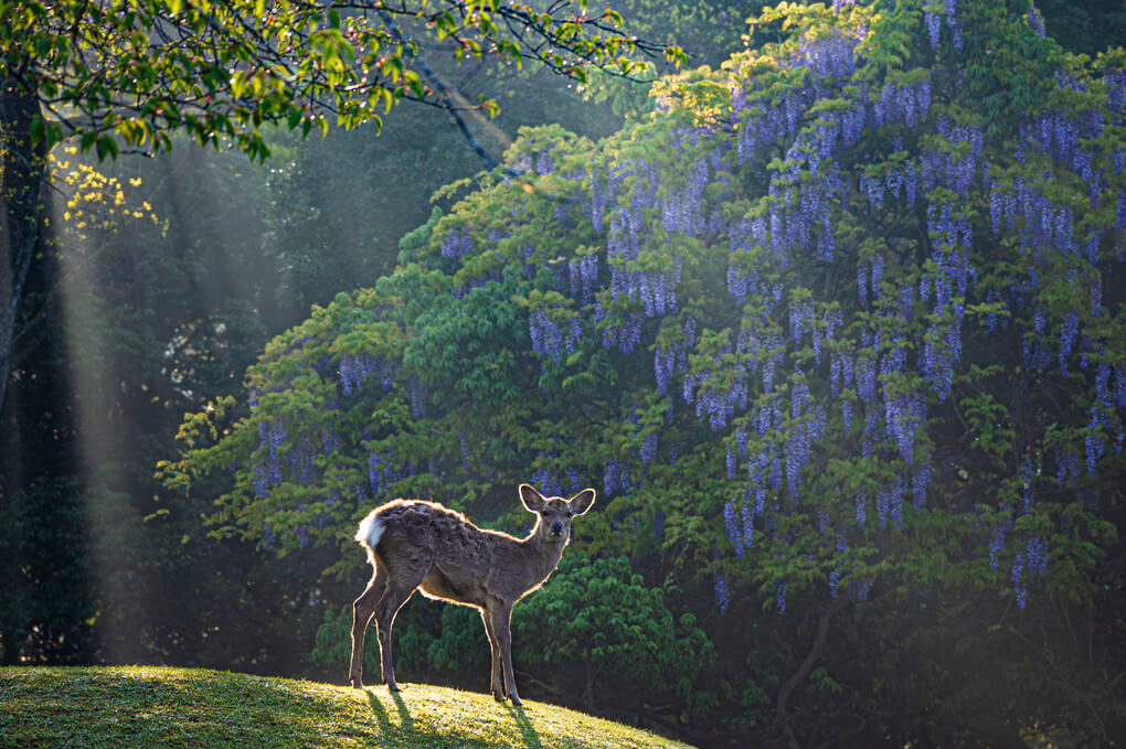 『おはよっ』miraiさん