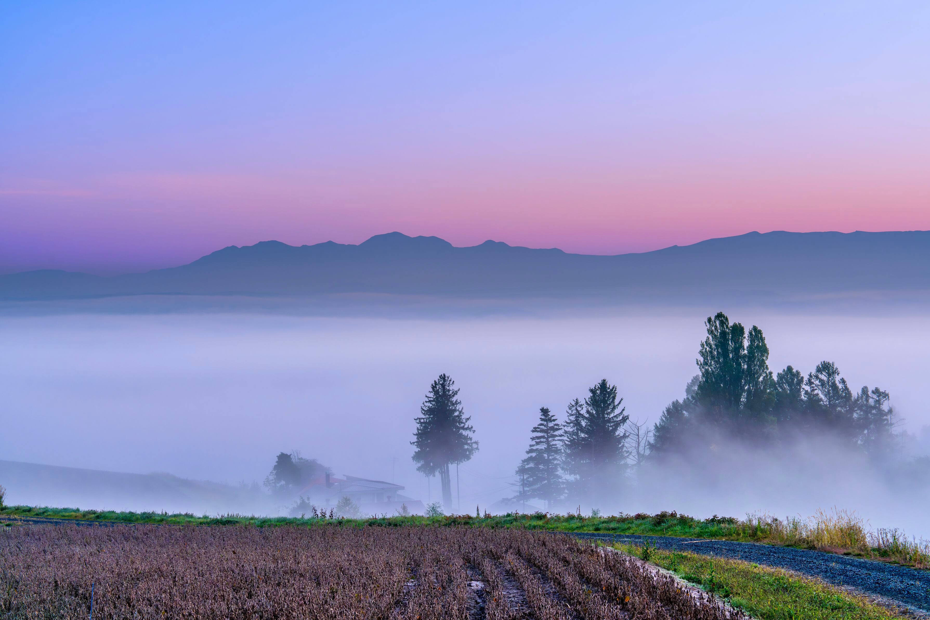 『雲海と黎明』Auraさん