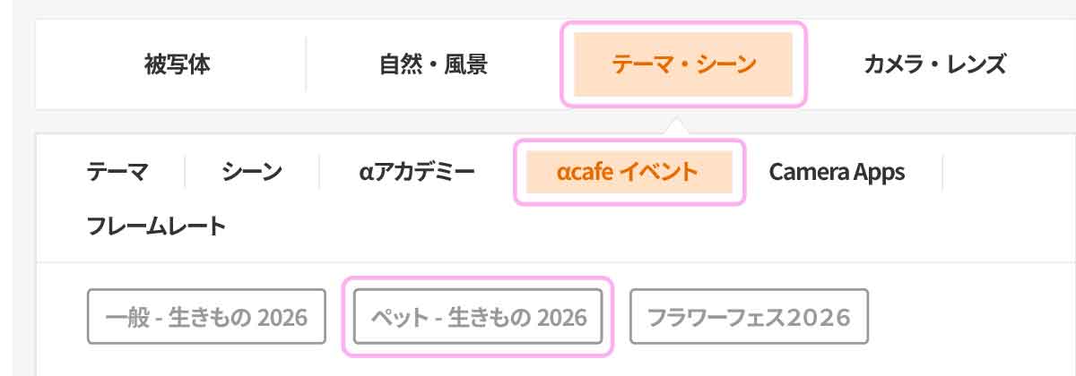 ペット部門のイメージ写真