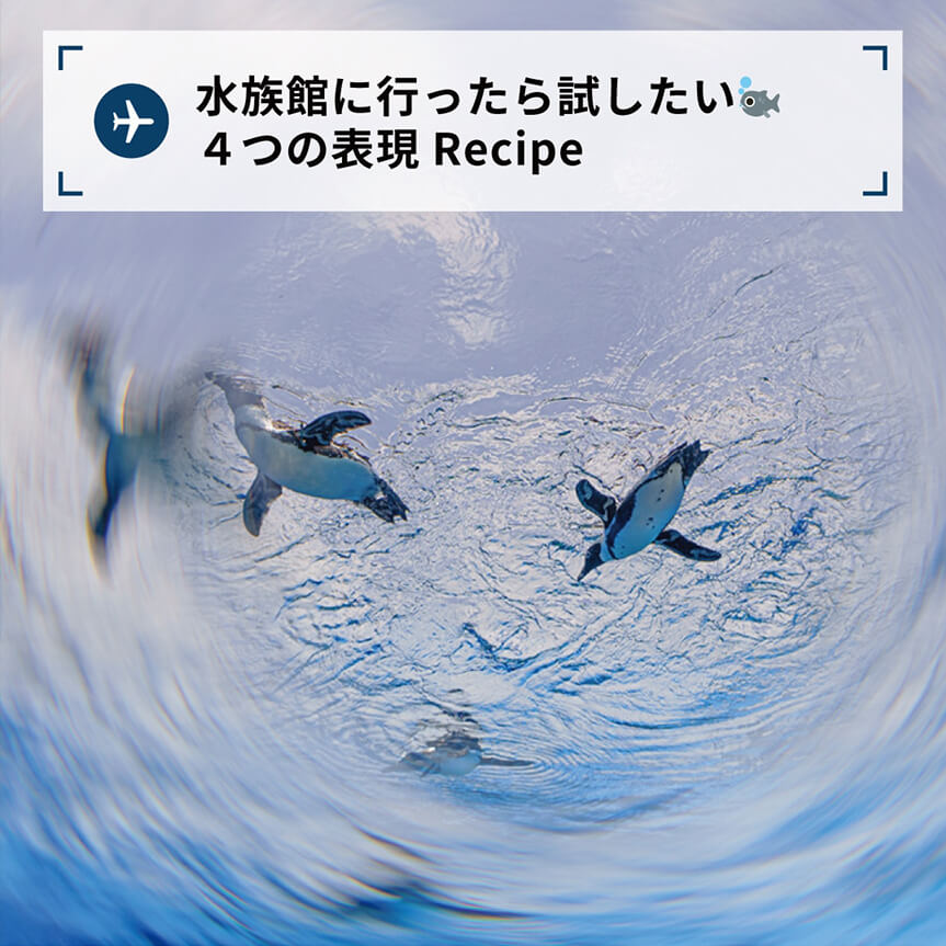 水族館に行ったら試したい🐟
４つの表現Recipe