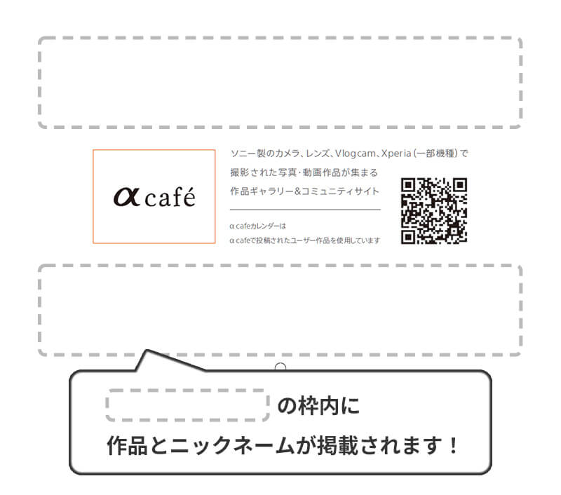 特別枠の掲載イメージ