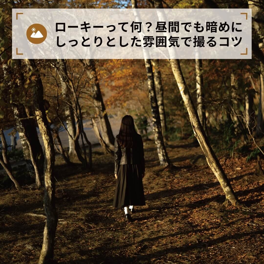 ローキーって何?昼間でも暗めにしっとりとした雰囲気で撮るコツ