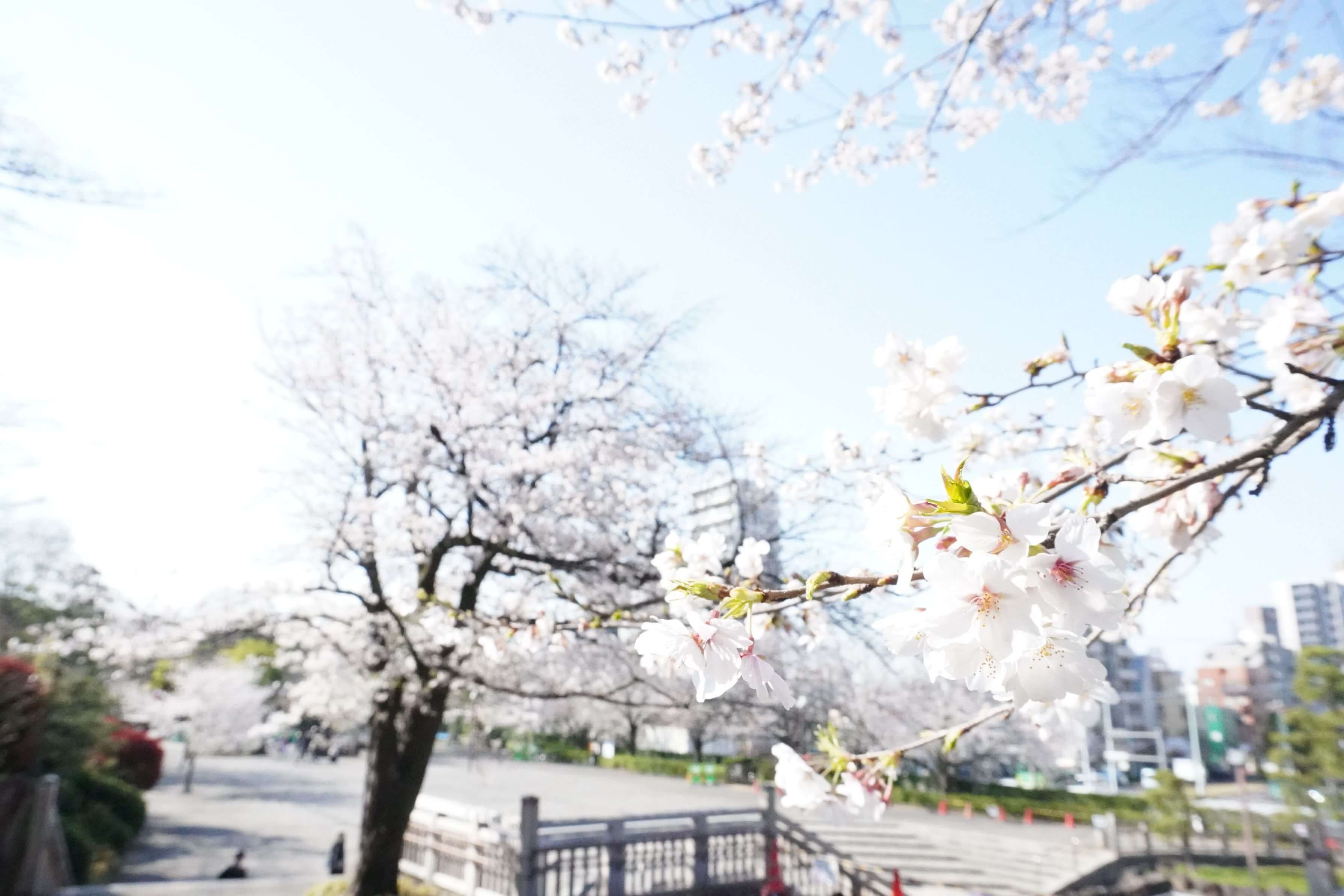 『ISO 8000の衝撃 〜矛盾だらけの挑戦状〜』森山わか子さん