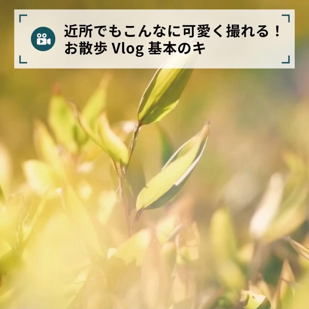 近所でもこんなに可愛く撮れる！お散歩Vlog基本のキ